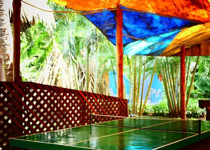 Flying Crocodile Hotel