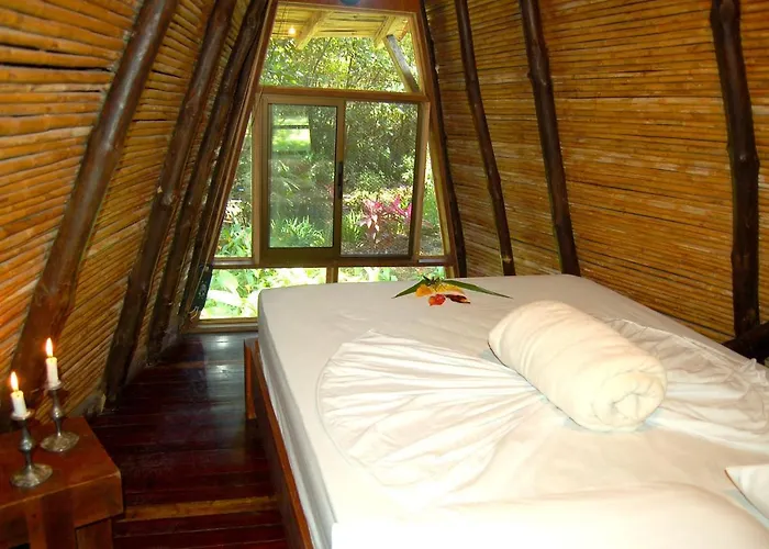 Hotel Flying Crocodile